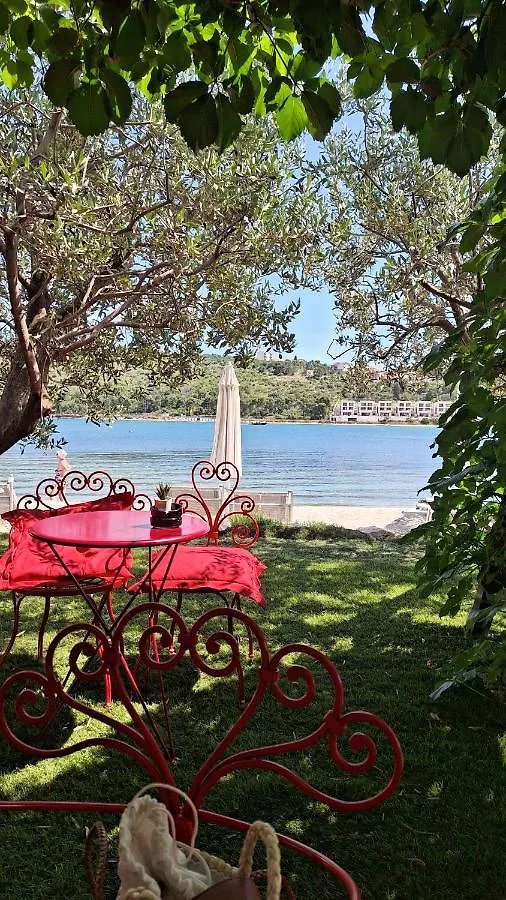 New Apartman P & B Apartment Trogir Croatia